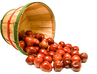 Apples And Honey PNG - 158788