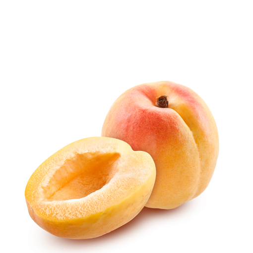 Apricot HD PNG - 92240