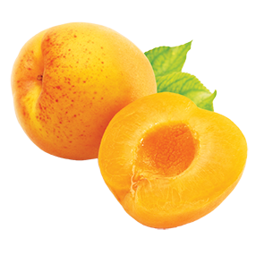 Apricot PNG - 22317
