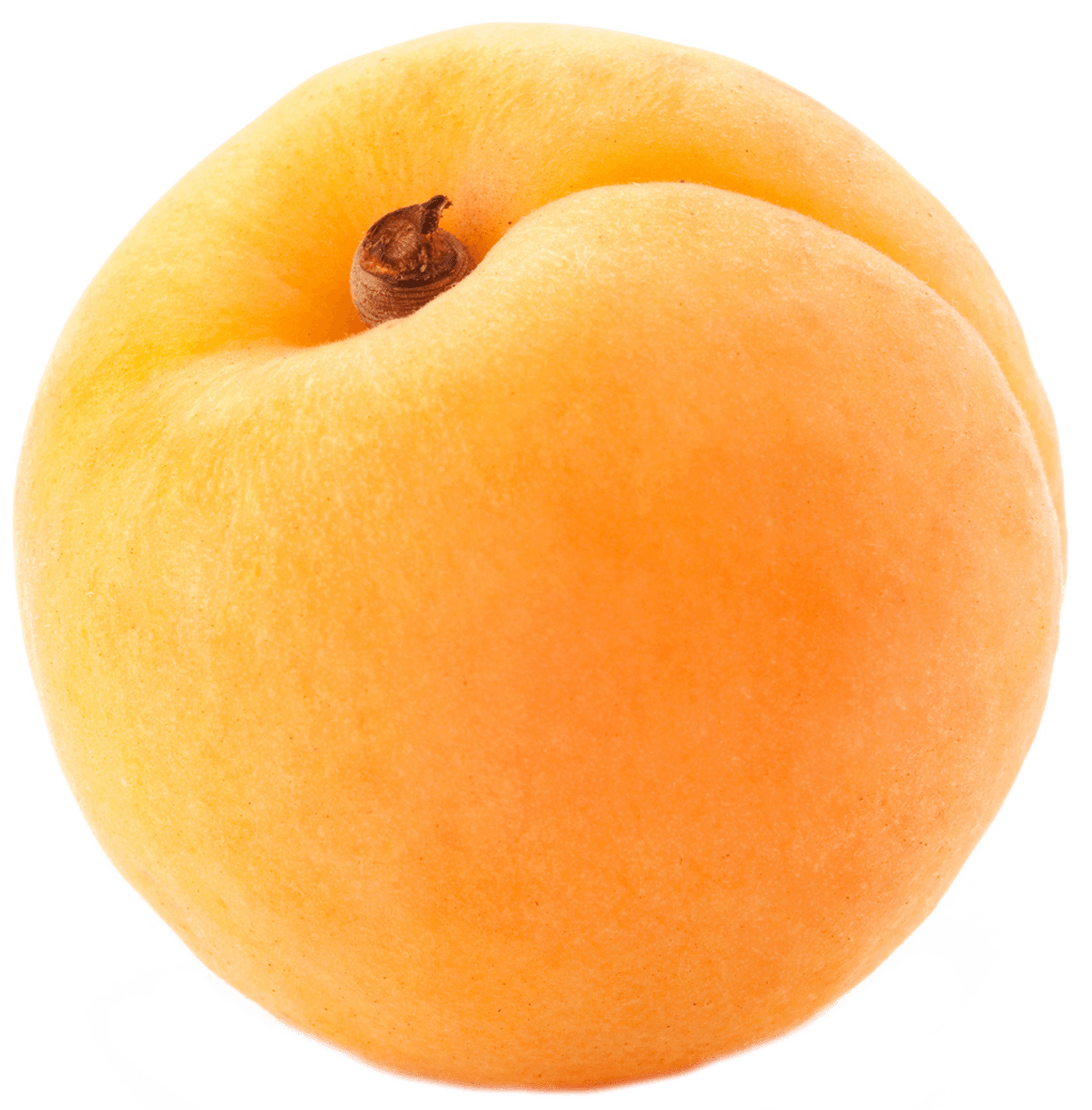 Apricot PNG - 22312