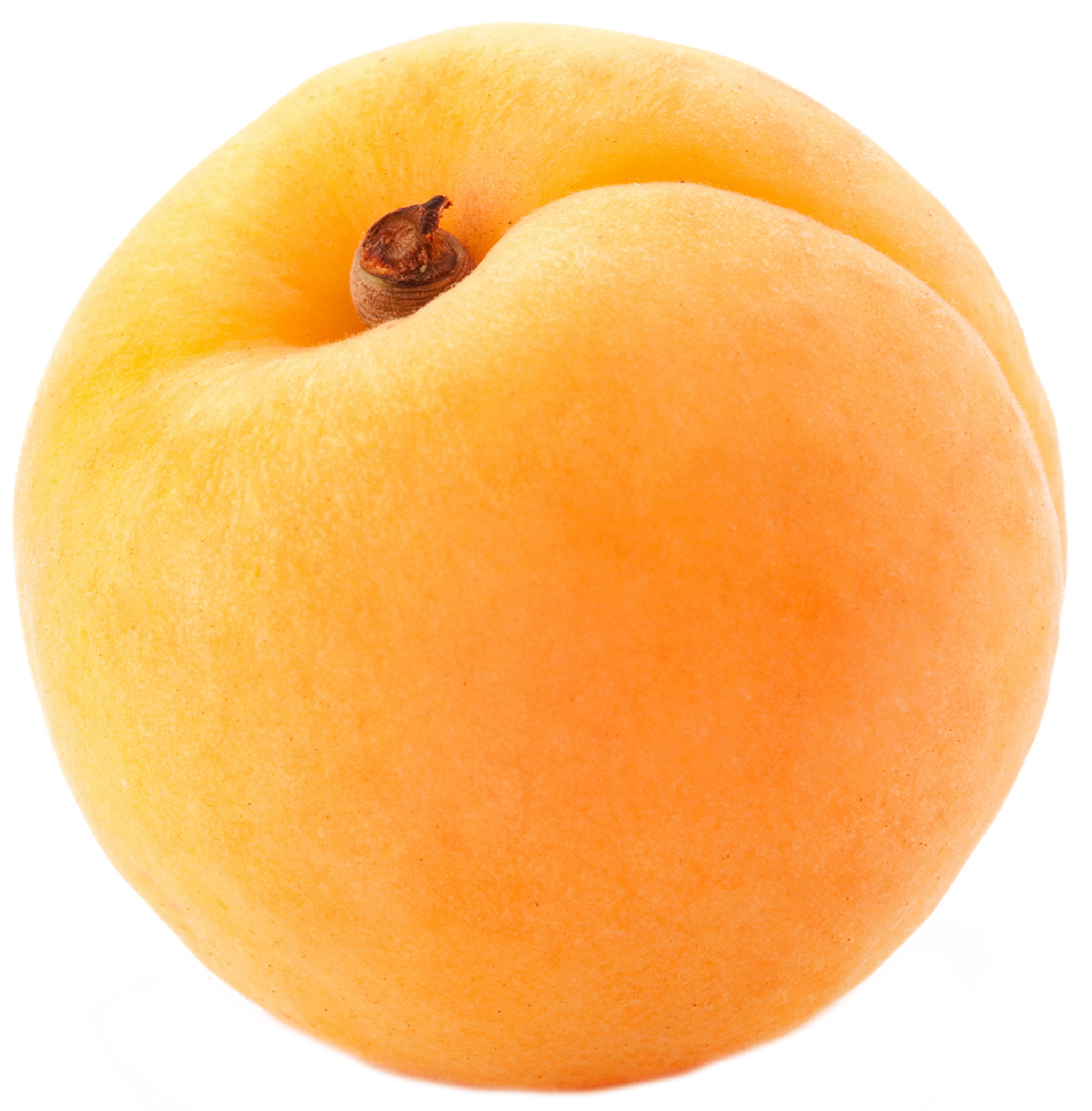 Apricot PNG - 17390