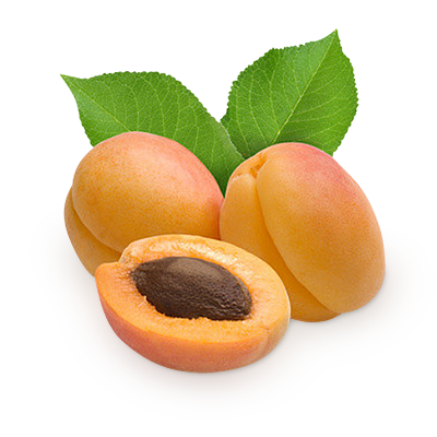 Apricot PNG - 22313