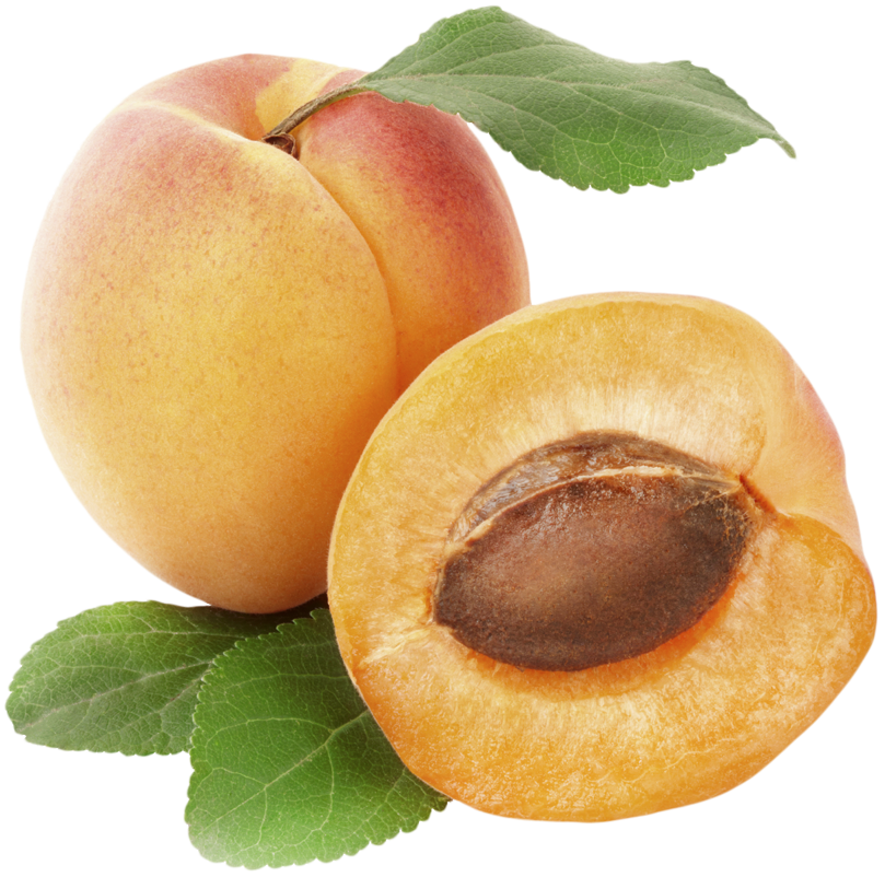 Apricot PNG - 17386