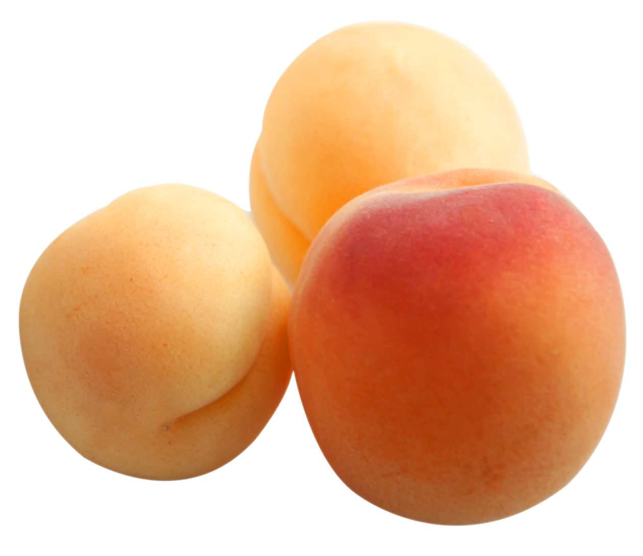 Apricot PNG - 17392