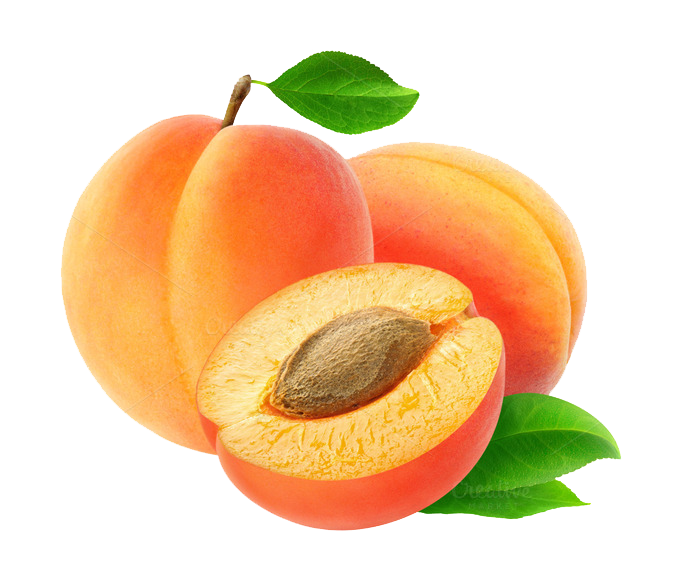 Apricot PNG - 17384