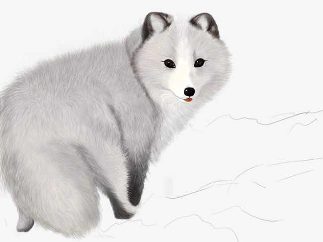 Arctic Fox PNG Cute - 159541