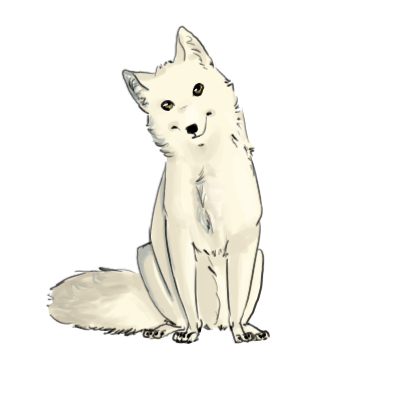 Arctic fox Drawing Clip art -