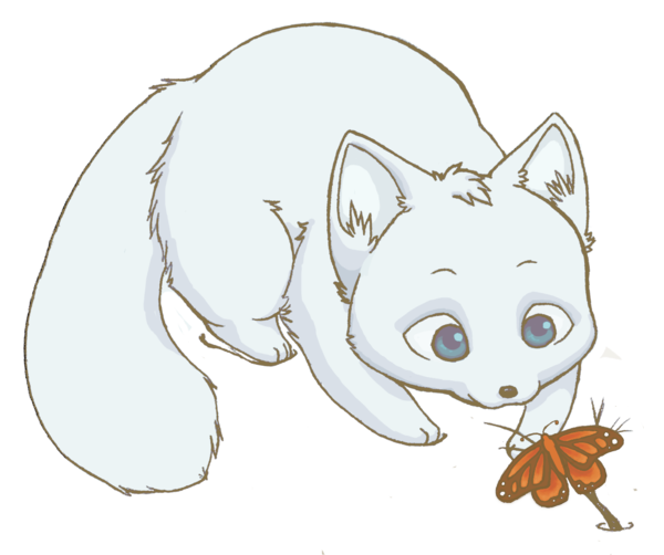 Arctic Fox PNG Cute - 159538