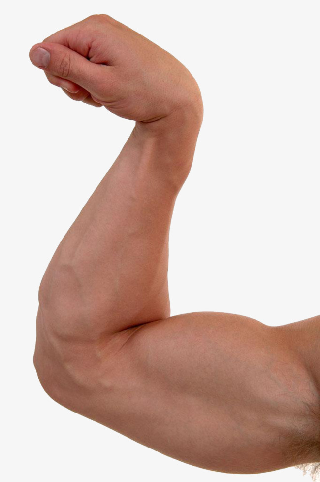Arm Tattoo PNG File - PNG HD 