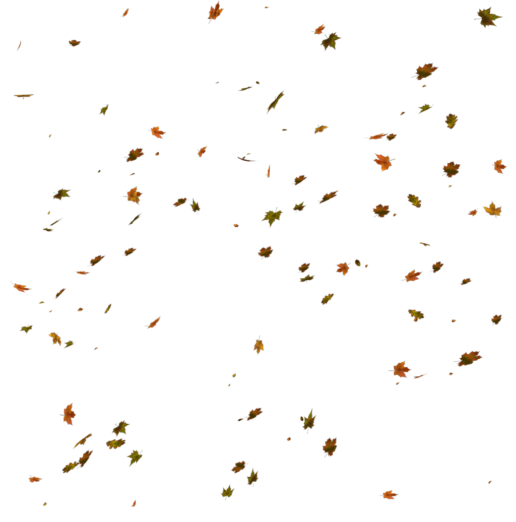 Autumn Leaves HD PNG - 96874