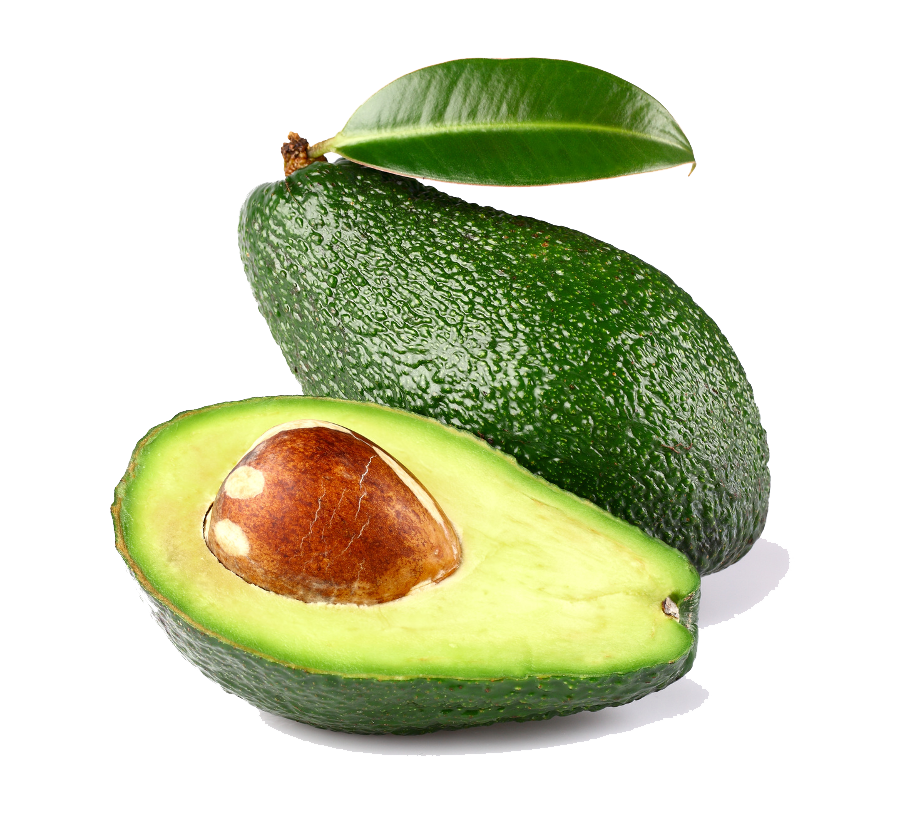 Avocado Png Clipart PNG Image
