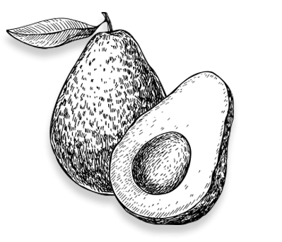 Avocado PNG Black And White - 170461