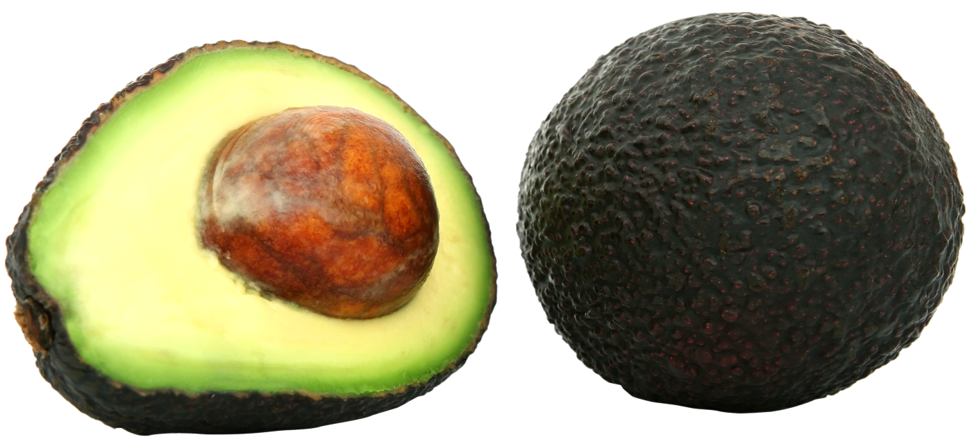 Avocado PNG - 18154