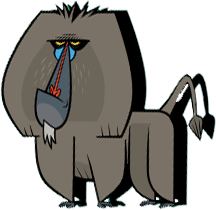 Baboon PNG - 18051