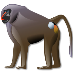 Baboon PNG - 18049