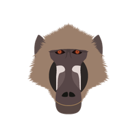 Baboon PNG - 18045