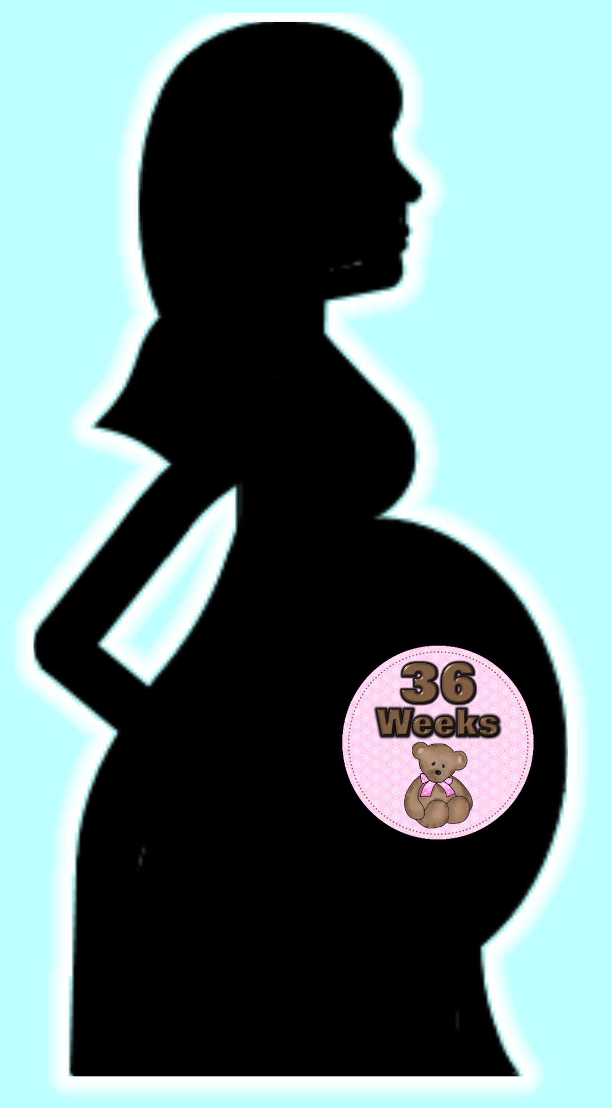 Pregnancy Woman Mother Abdome