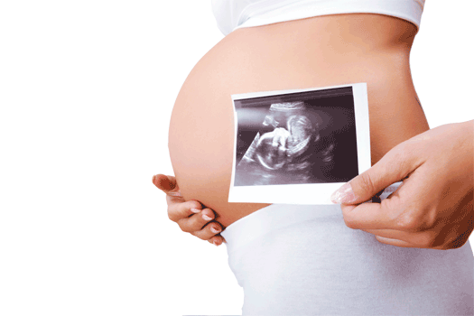 Pregnancy Woman Mother Abdome