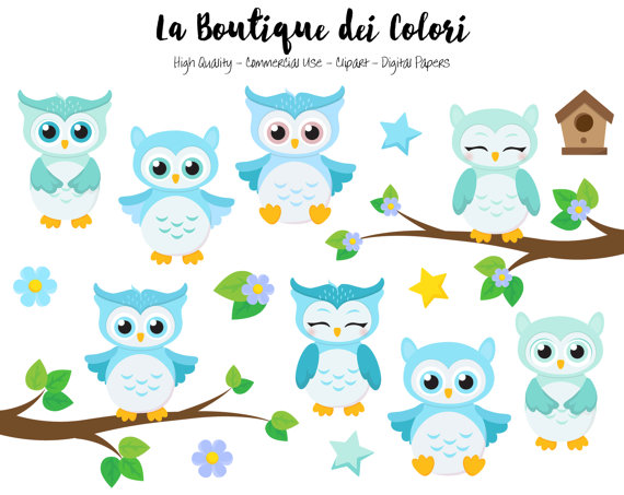 Baby Boy Owl PNG - 147145
