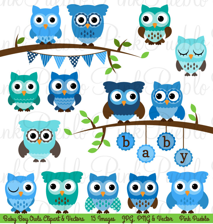 Baby Boy Owl PNG - 147142