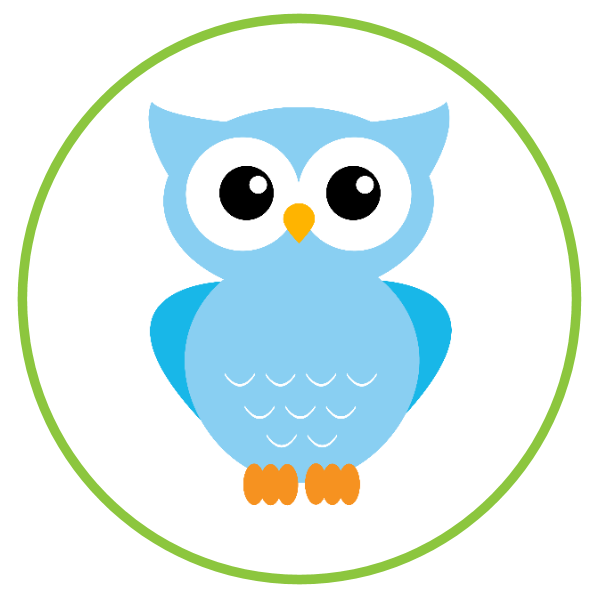 Baby Boy Owl PNG - 147140