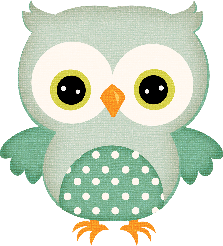 Baby Boy Owl PNG - 147141