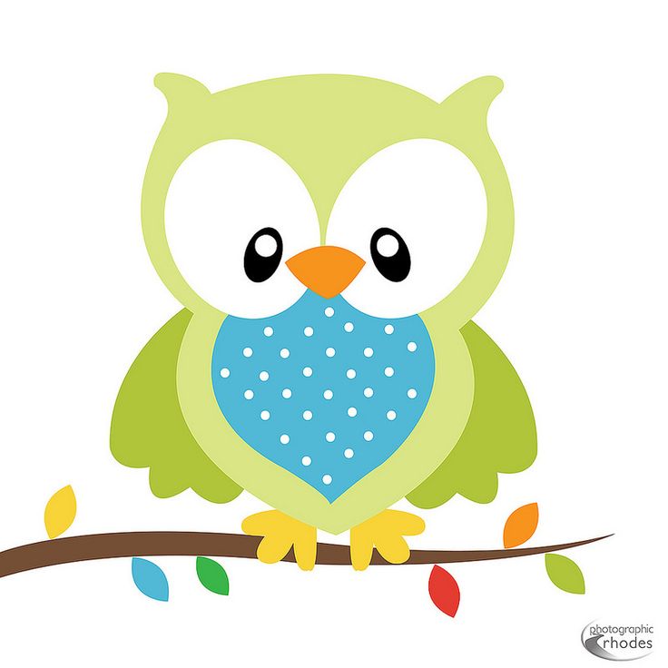 Baby Boy Owl PNG - 147150