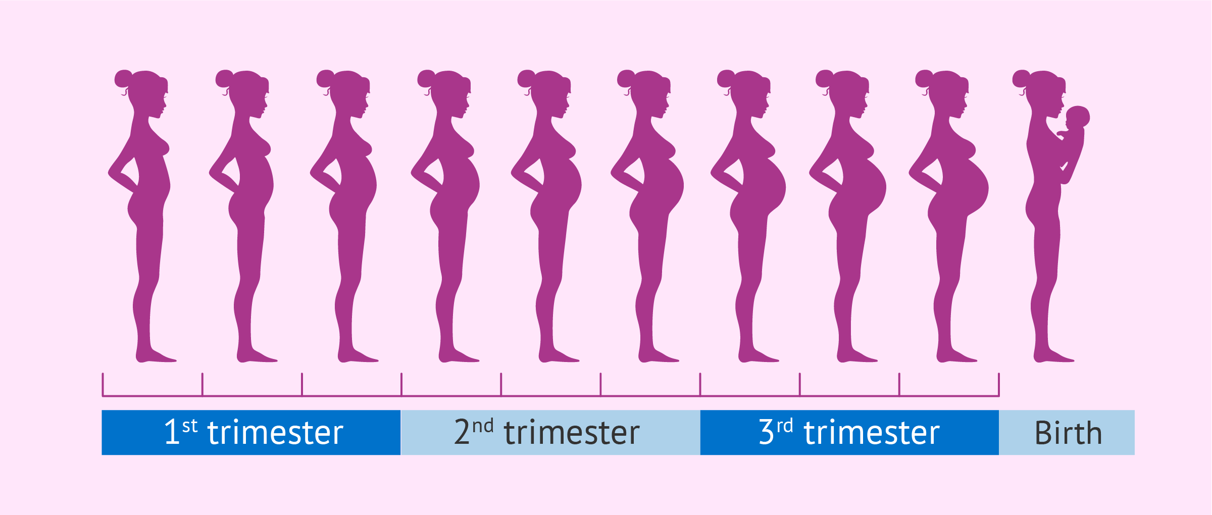 Baby Bump PNG - 148348