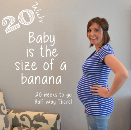 Baby Bump PNG - 148347