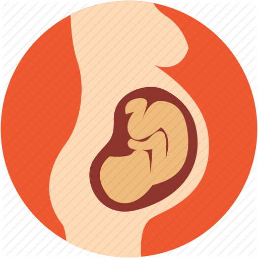 Baby In Womb PNG - 161978
