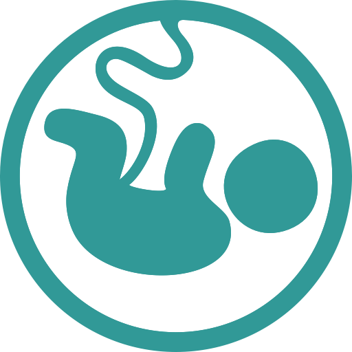 Baby In Womb PNG - 161981