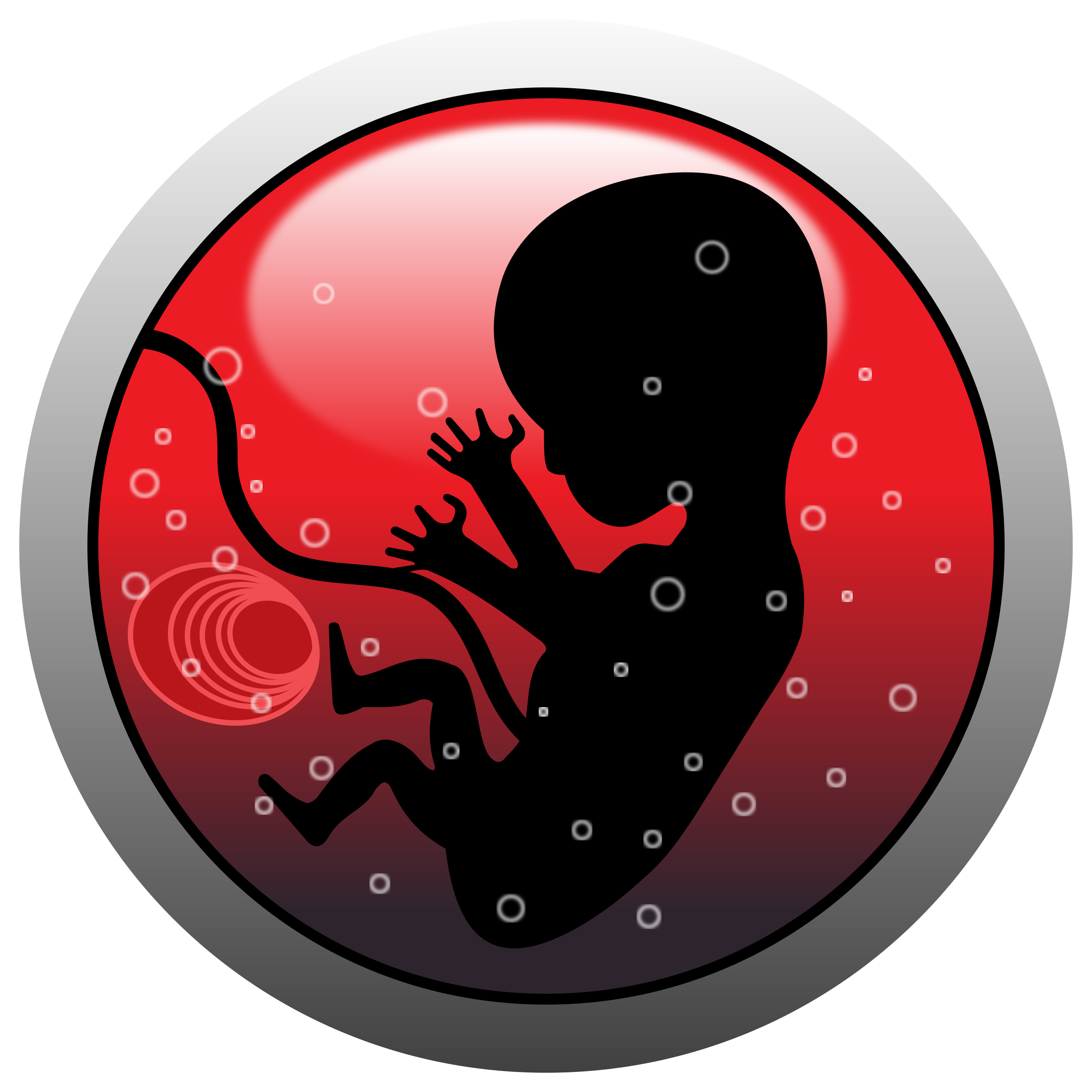 Baby In Womb PNG - 161985