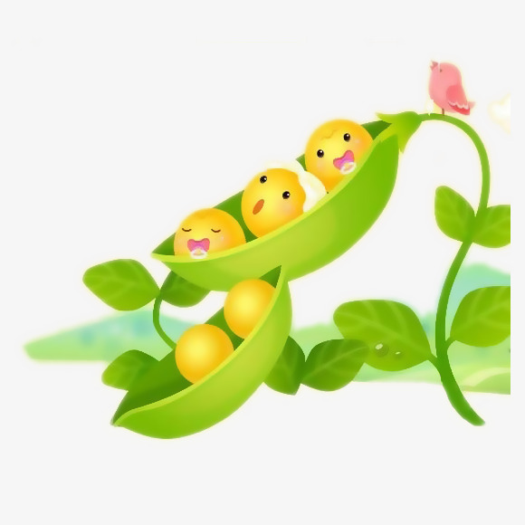 Baby Pea Pod PNG - 163785