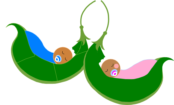 Baby Pea Pod PNG - 163771