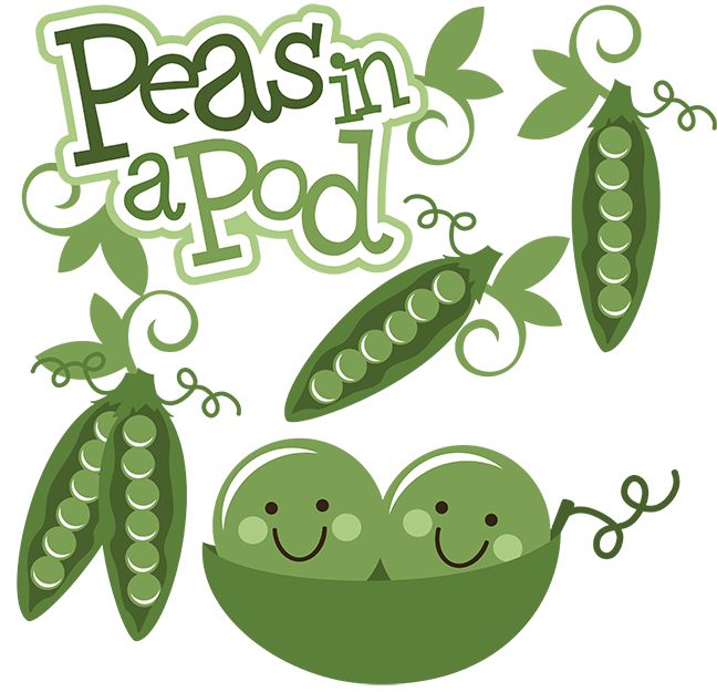Baby Pea Pod PNG - 163776