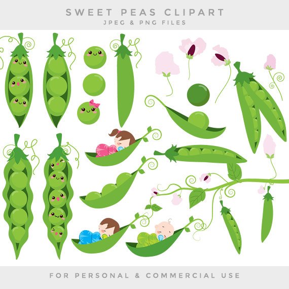 Baby Pea Pod PNG - 163783