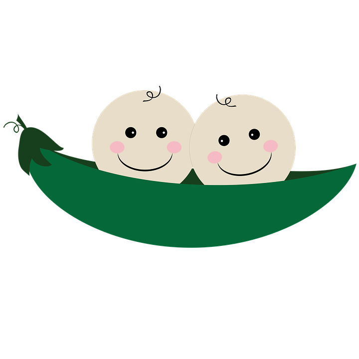 Baby Pea Pod PNG - 163767