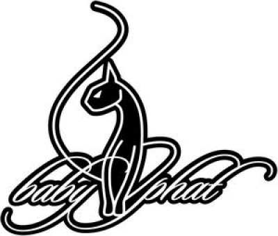 Baby Phat Clothing PNG - 32721