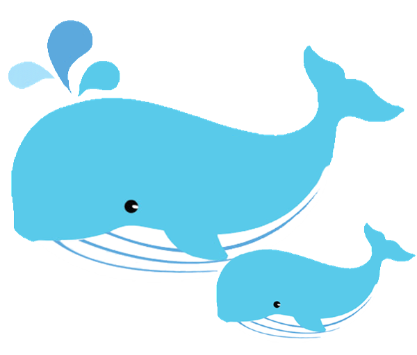 Baby Whale PNG - 53772