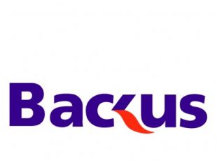 Backus Johnston Logo PNG - 107113