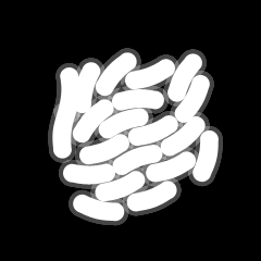 Bacteria PNG HD - 149258