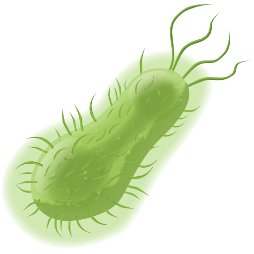 bacteria cartoon green - /med