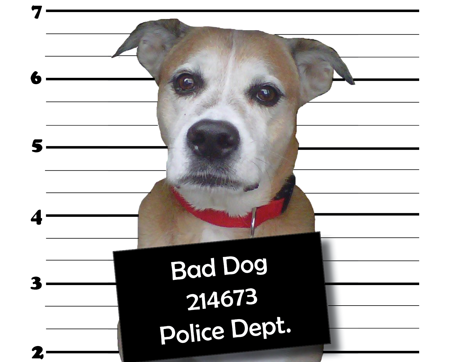 Bad Dog PNG - 135641
