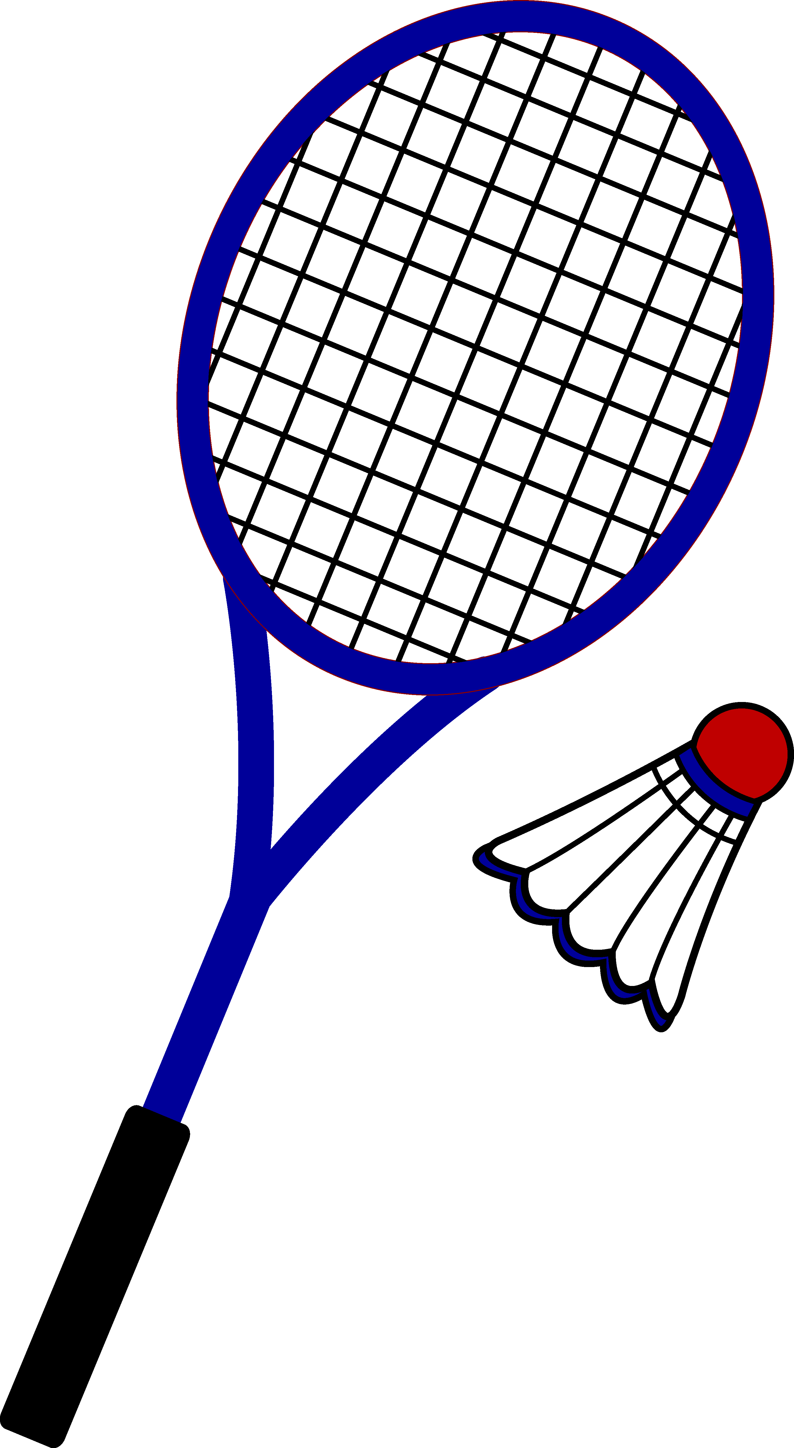 Badminton Ball mit Naturfeder
