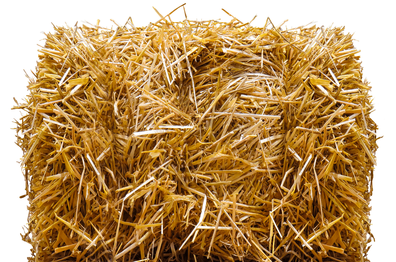 Bale Of Hay PNG - 158553