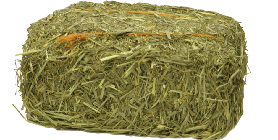 Bale Of Hay PNG - 158564
