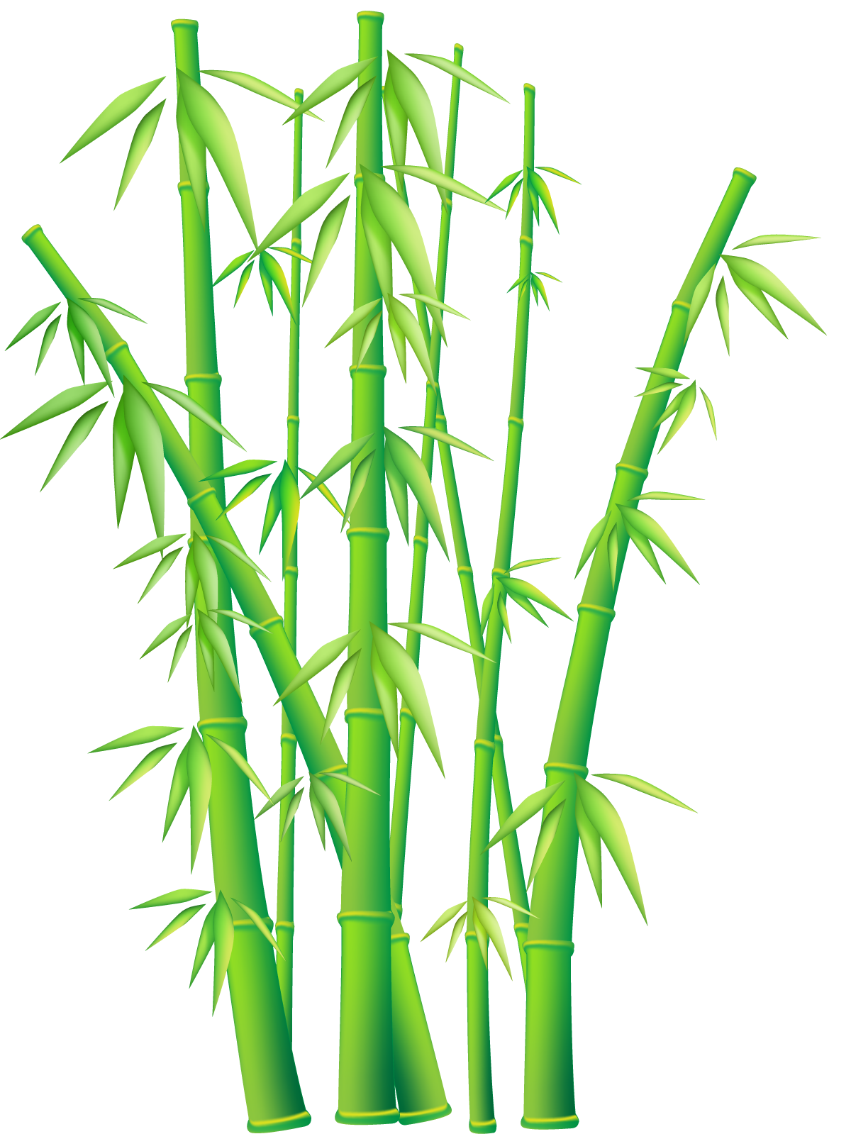 Bamboo PNG HD - 128772