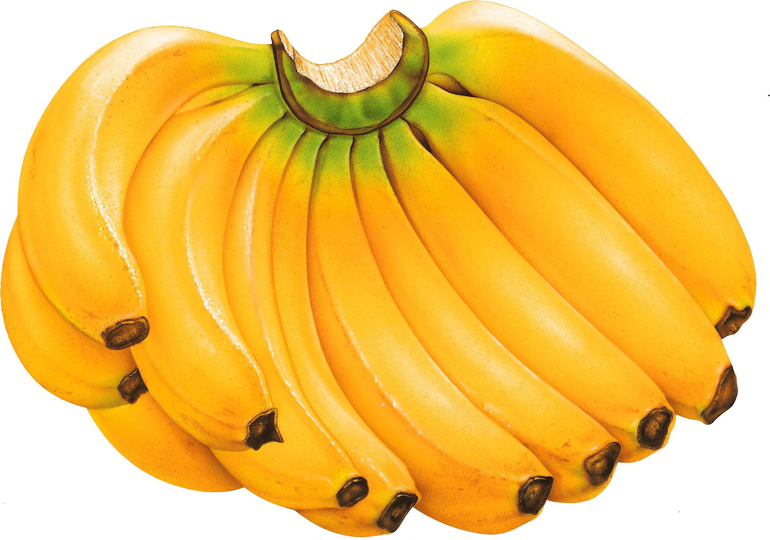 Banana PNG - 28056