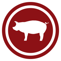 Barbecue Pig PNG - 158515