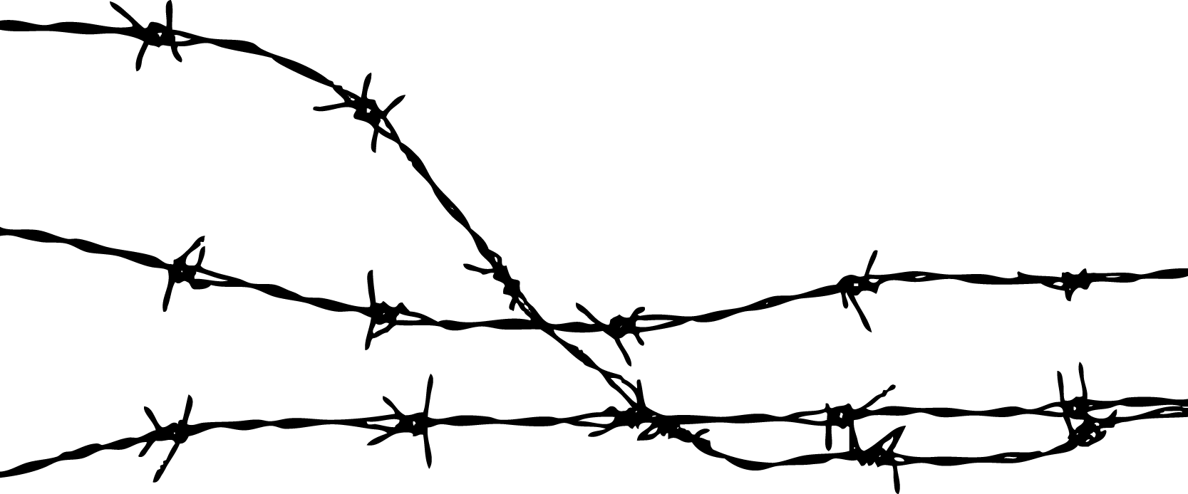 Both barbed wire material, Fe